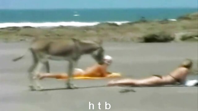 ایچ ڈی کے معیار : نوجوان افغانستان میری اشتراک BF بڑے فیلم سکسی های الکسیس چھاتی کے ساتھ ماں Kiara میا فحش فلم